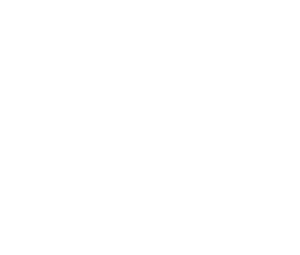 Video GAMA